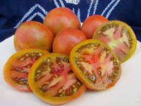 Black Prince tomatoes