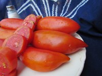 Jersey Devil tomatoes
