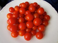 Peacevine Cherry tomatoes