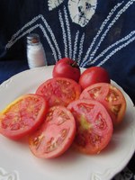 Arkansas Traveler tomatoes
