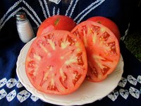 Blue Ridge Mountain tomatoes