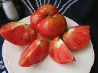 Large Pink Bulgarian tomatoes
