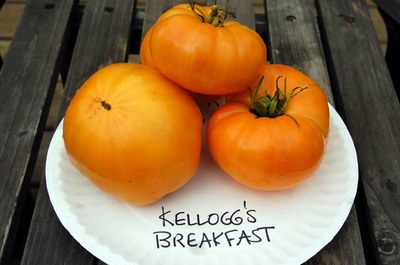 Kellogg's Breakfast.jpg