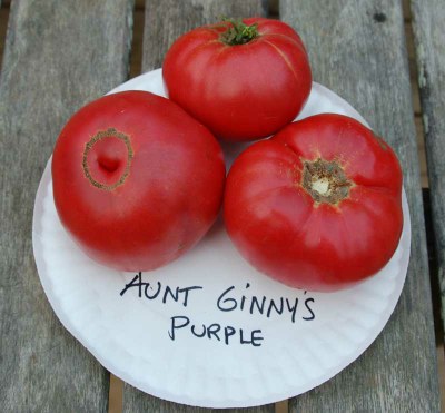 auntginnyspurple.jpg