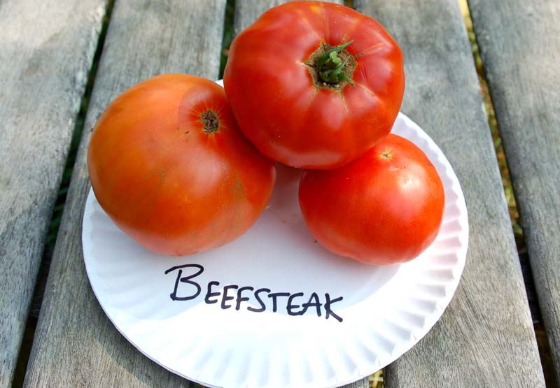 beefsteak.JPG