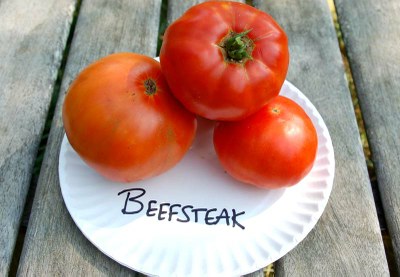 beefsteak.JPG