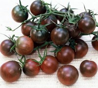Black Cherry tomatoes