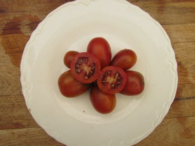 brown berry.JPG