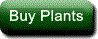 Buy Plants (hover) gif
