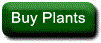 Buy Plants gif