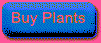 Buy Plants gif