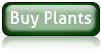 Buy Plants (hover)