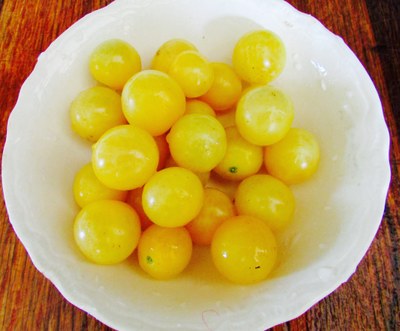 Dr. Carolyn's Yellow