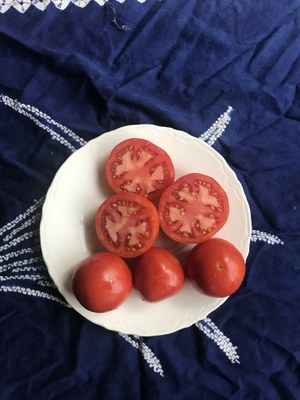 Druzba tomato