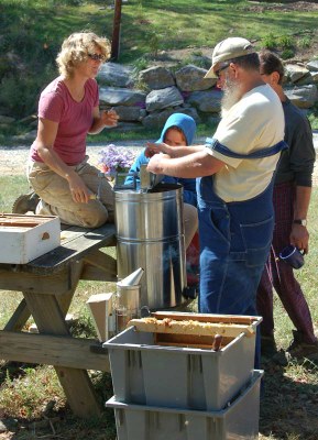 extracting honey.JPG