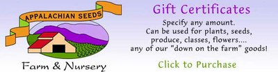 giftcertificate-buy-button.jpg
