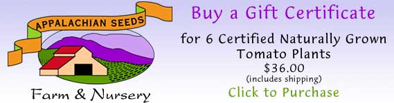 giftcertificate-plants.jpg