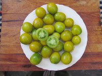 Green Grape tomatoes