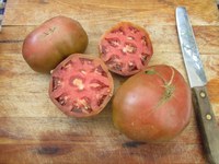 June Pink tomatoes