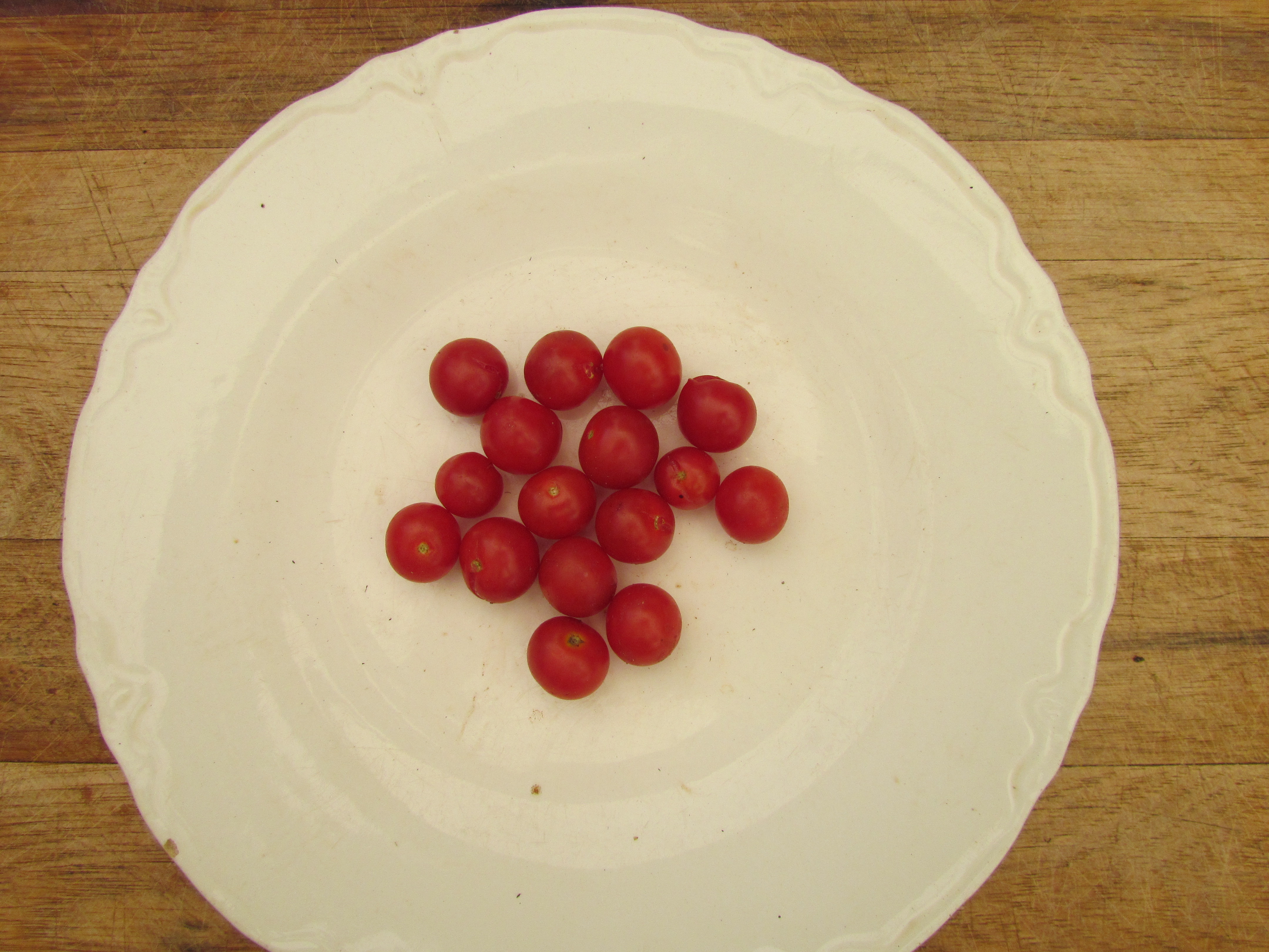matt's wild cherry.JPG