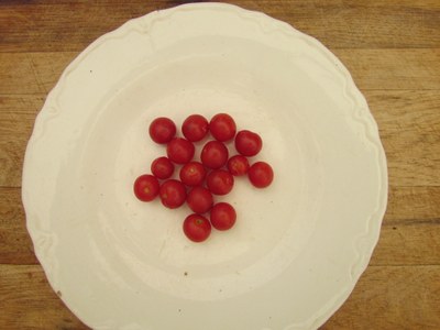 matt's wild cherry.JPG