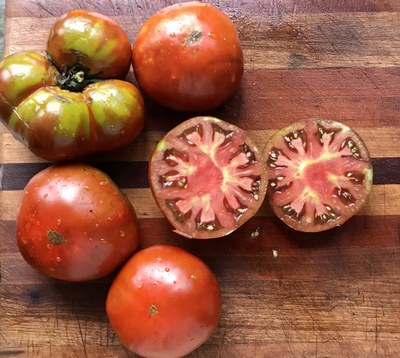 Paul Robeson tomato