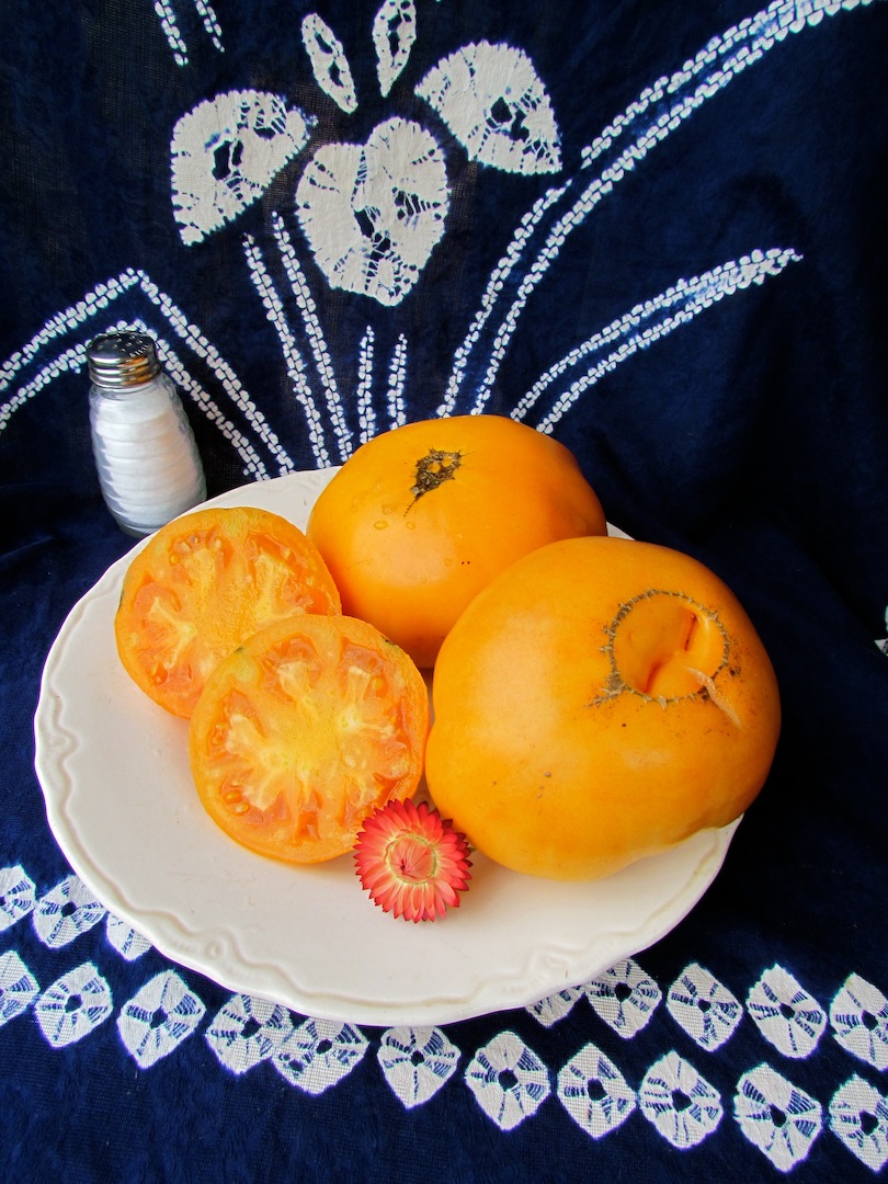 Persimmon update
