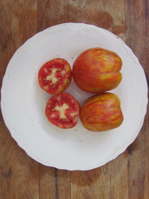 plum tigris.jpg