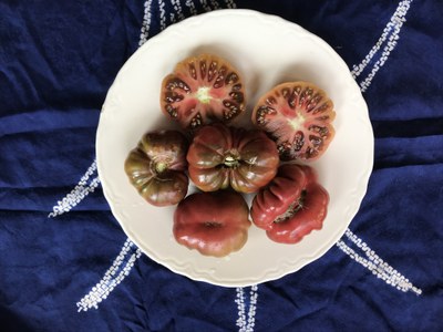 Purple Calabash tomato