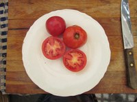 Red Peach tomatoes