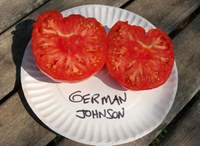 German Johnson tomatoes