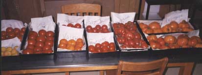 testtomatoes.jpg