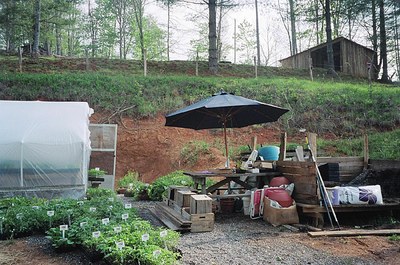 outside-greenhouse.jpg