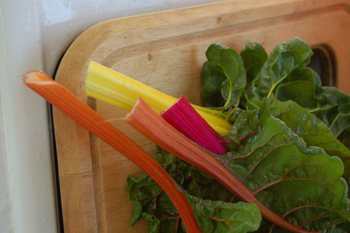 swiss-chard-in-the-kitchen.jpg