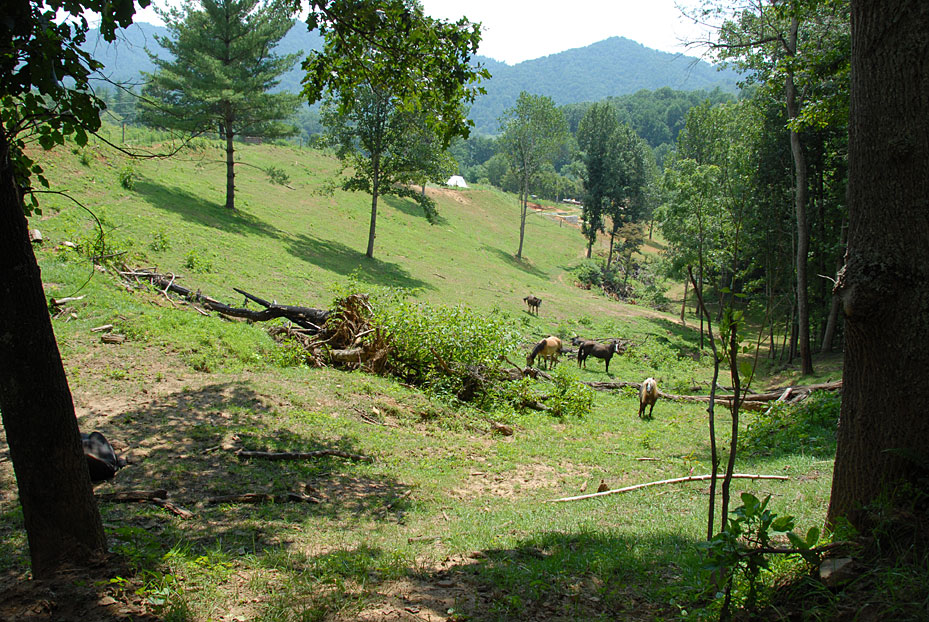 DSC_0313.jpg