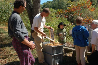 cutting honeycomb.JPG