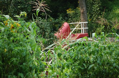 garden-playground.jpg