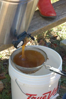 pouring honey.JPG