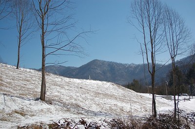 pretty-snow-view-of-pasture.jpg
