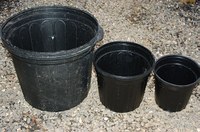 container-sizes.jpg container-sizes.jpg