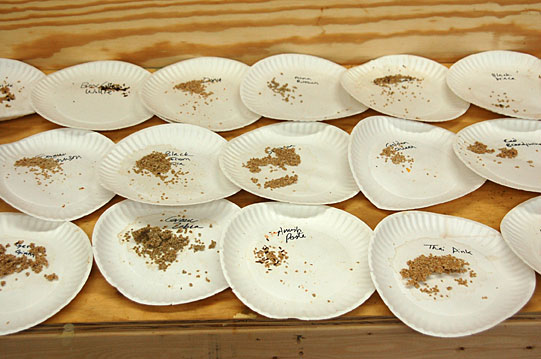drying-seeds.jpg