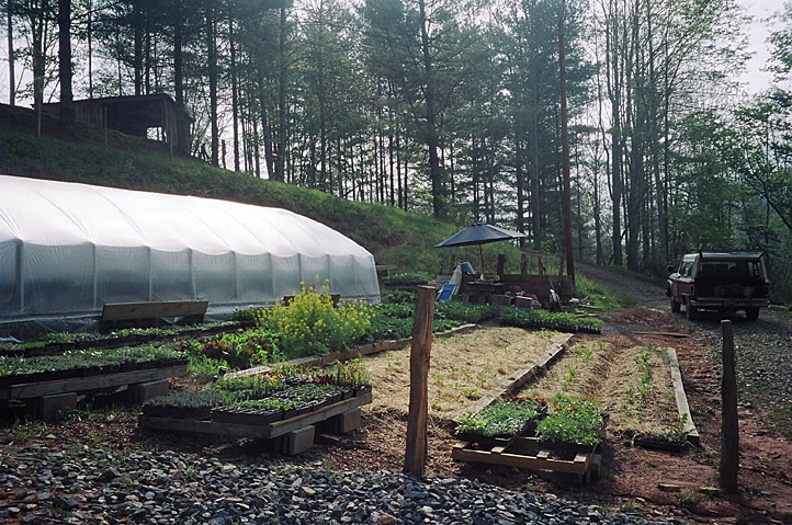 greenhouse-and-herb-garden.jpg