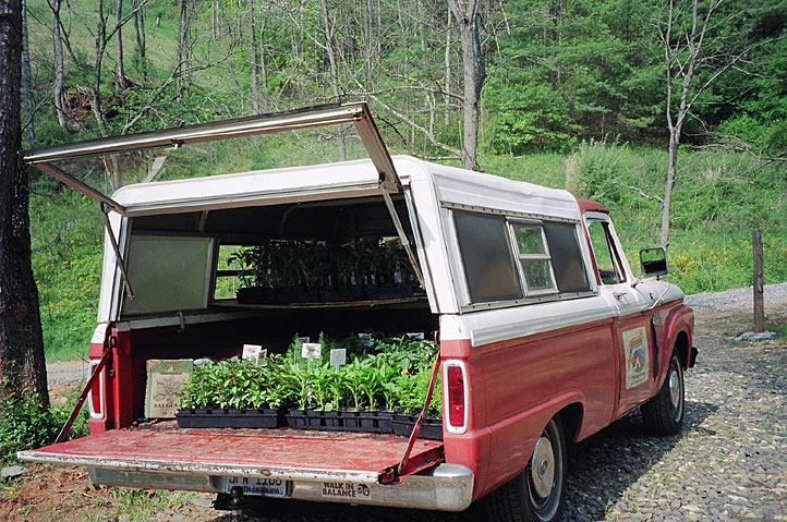 tomato-truck-goin-to-mkt.jpg