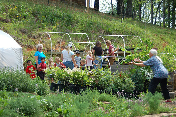 field-trip-looking-at-plant.jpg