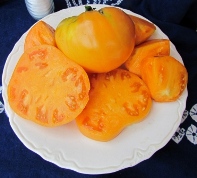 Barnes Mountain Orange