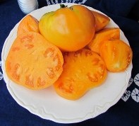 Barnes Mountain Orange tomatoes