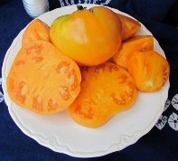 Barnes Mountain Orange