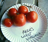 akerswestvirginialg.jpg