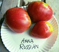 annarussianlg.jpg