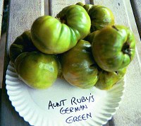 Aunt Ruby's German Green tomatoes